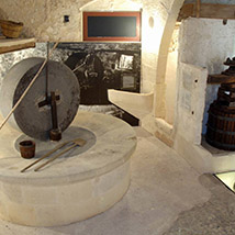 Museo del Palmento e Frantoio